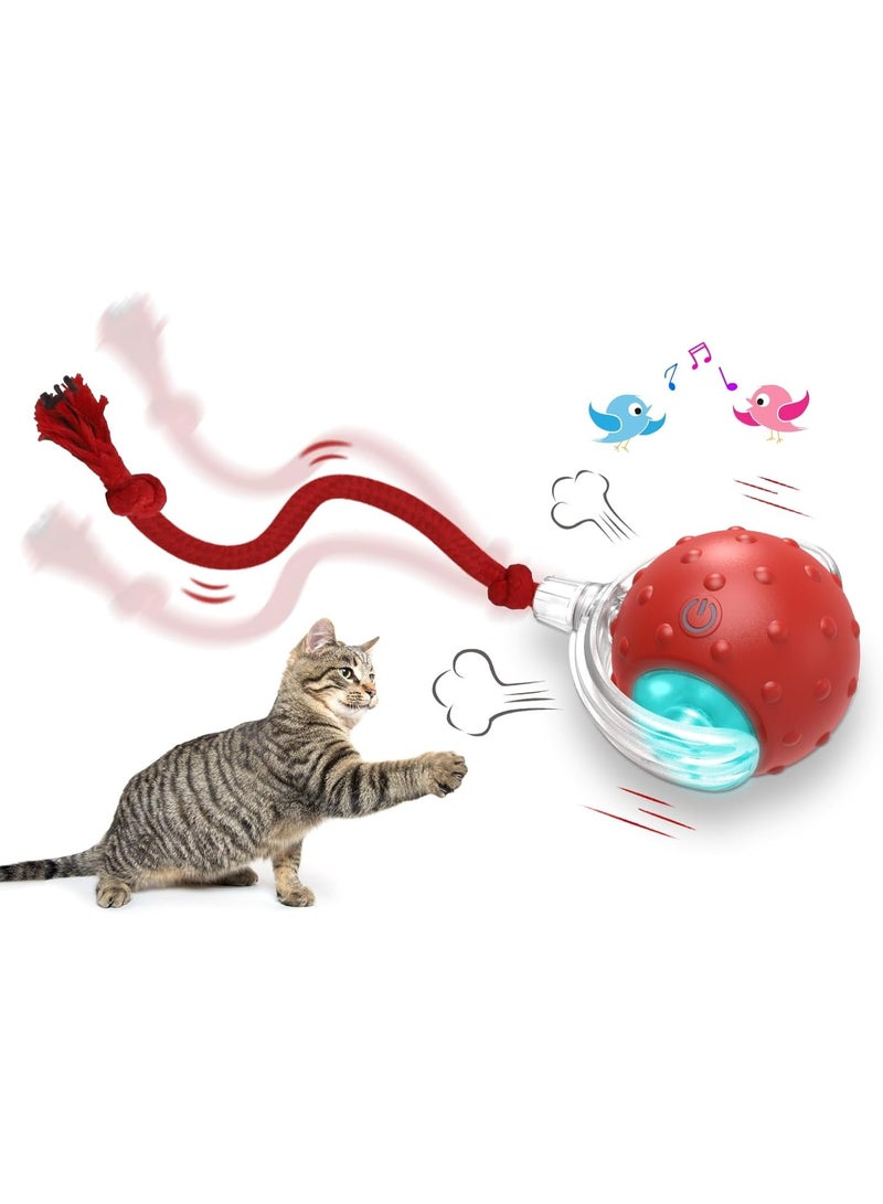 Giociv Store Interactive Cat Toys Ball, Automatic Cat Interactive Toy for Indoor Cats Fast Rolling on Carpet, Chirping & Motion Activate - Image 1